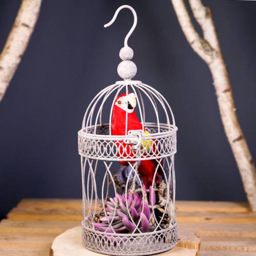 Floristik24 Deco papegoja röd 44cm
