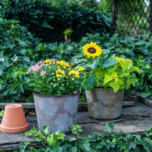 Floristik24 Dekorativ växtpot med blad zink metallgrå, orange, brun Ø26cmH22cm 3st