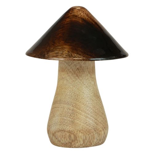 Artikel Dekorativ svamp träsvamp naturlig brun glanseffekt Ø7,5cm H10cm
