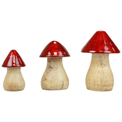Artikel Dekorativa svampar träsvampar rödglans höstdekoration H6/8/10cm set om 3