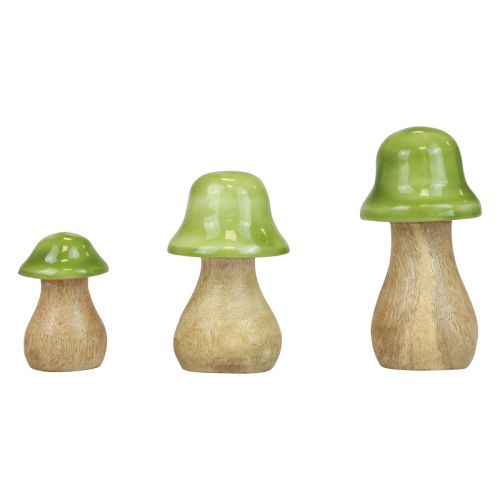 Artikel Dekorativa svampar trä träsvampar ljusgröna glänsande H6/8/10cm set om 3