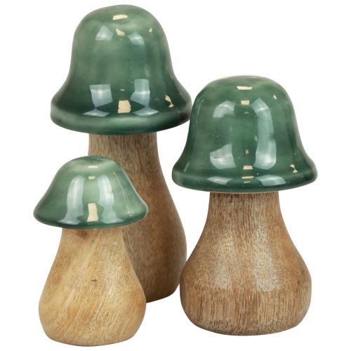 Artikel Dekorativa svampar träsvampar mörkgröna glänsande H6/8/10cm set om 3