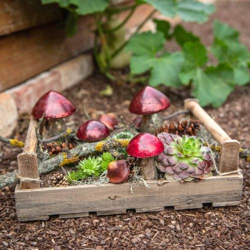 Floristik24 Deco svamp glas röd höstdekoration bordsdekoration Ø6,5cm H10cm 3st