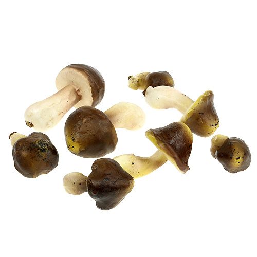 Floristik24 Dekorativa svampar i nätet 5-8cm diverse. brun 8st