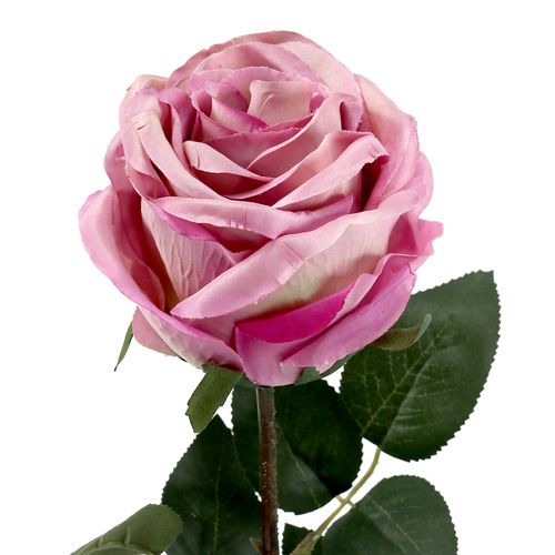 Floristik24 Dekorativ rosafyllt skumrosa Ø10cm L65cm 3st