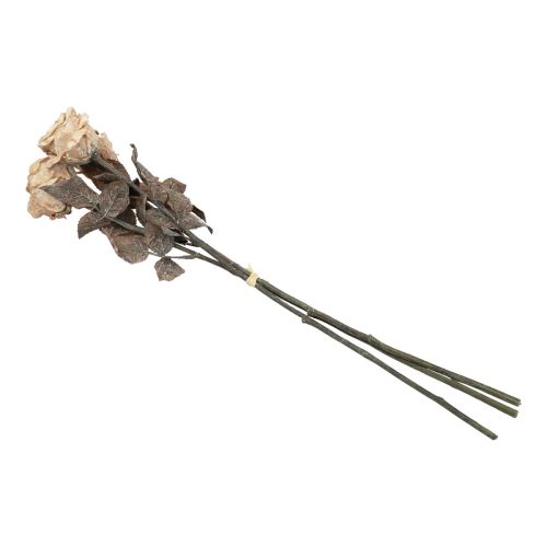 Artikel Dekorativa rosor Krämvita konstgjorda rosor Sidenblommor Antik Look L65cm Paket med 3