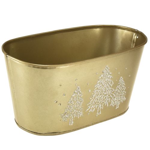 Floristik24 Dekorativ skål oval julgranskruka guld 24×13×12,5cm