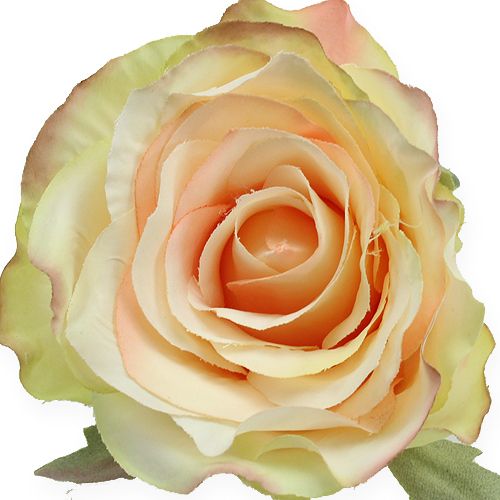 Floristik24 Konstgjorda roshuvuden Ø9cm 6st