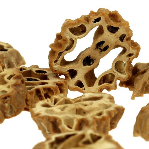 Floristik24 Mutterskivor 2 cm naturliga 250g