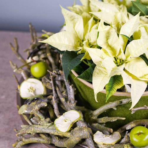 Artikel Deco gren currybuske grön tvättad 500g