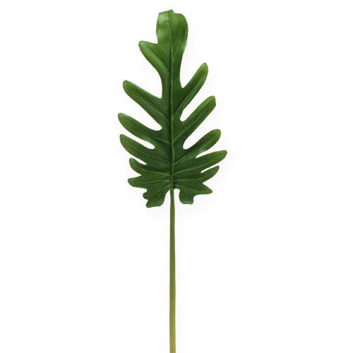 Dekorativa ark Philodendron Green W11cm L34cm 6st