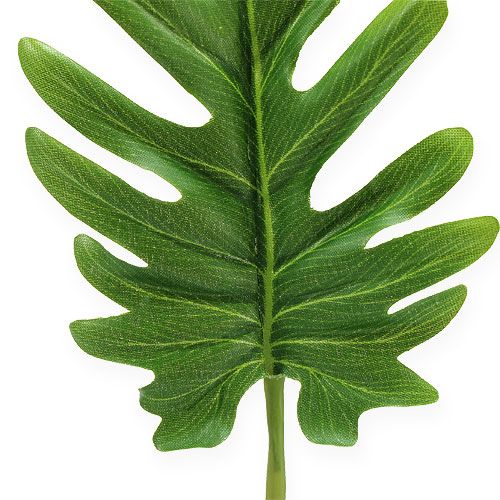 Floristik24 Dekorativa ark Philodendron Green W11cm L34cm 6st