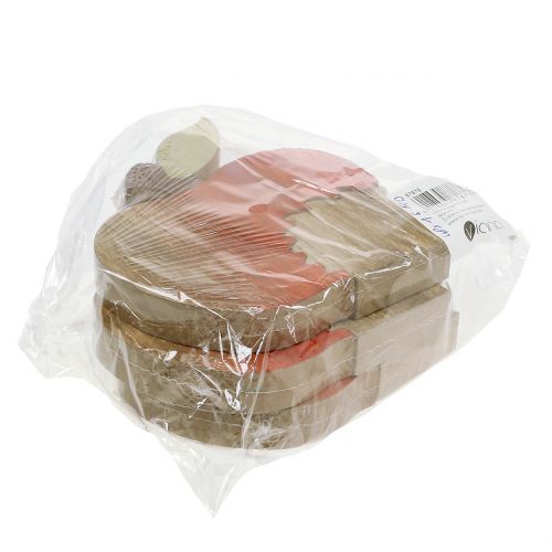 Floristik24 Dekorativ figur äpple med igelkottrött, naturligt 13cm 3st