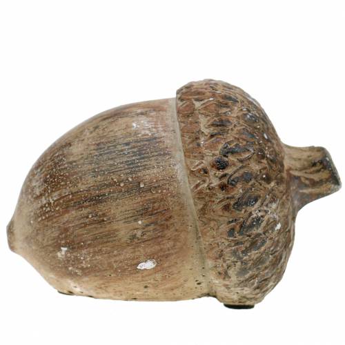 Floristik24 Dekorativ figur ekollonbrun 11cm x 8cm x 7cm 3st