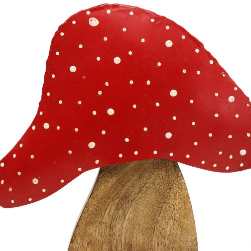 Floristik24 Too-pall natur dekor, röd 25cm