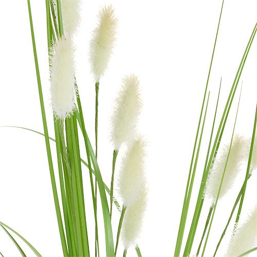 Floristik24 Dekorativt gräsgrönt L85cm