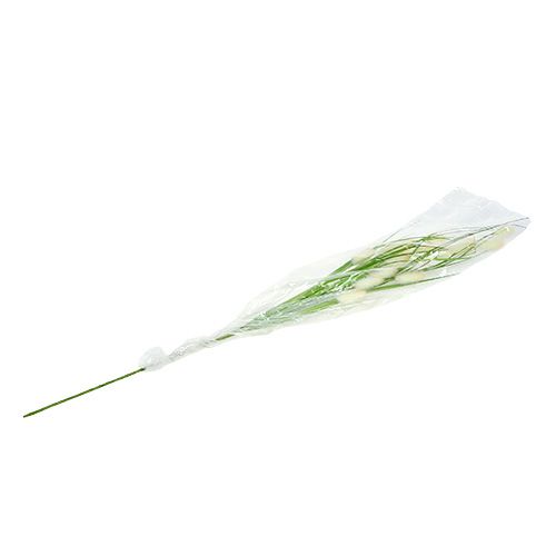 Floristik24 Dekorativt gräsgrönt L85cm