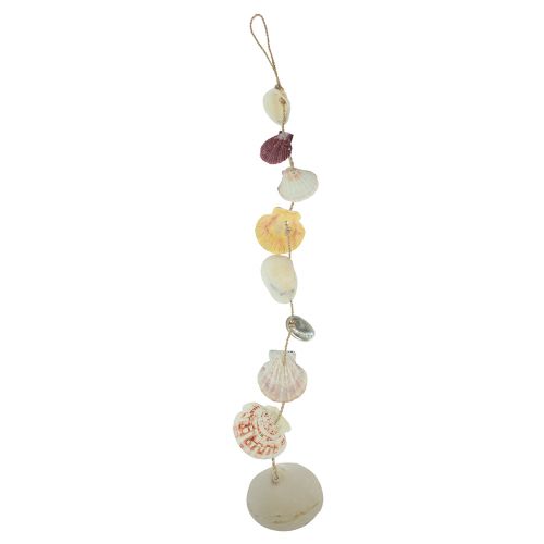 Floristik24 Dekorativ hängare maritim skaldekoration natur Ø5–10cm 70cm