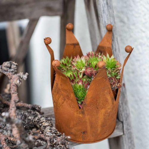 Floristik24 Dekorativ krona, metalldekor, patina Ø15cm H11,5cm