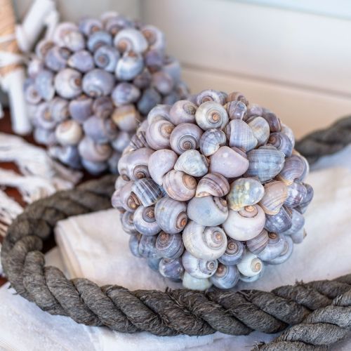 Floristik24 Dekorativ boll snäckor snäckboll naturlig dekoration maritim Ø19cm