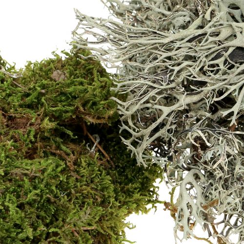 Artikel Dekorativ mossmix naturlig, grön 500g