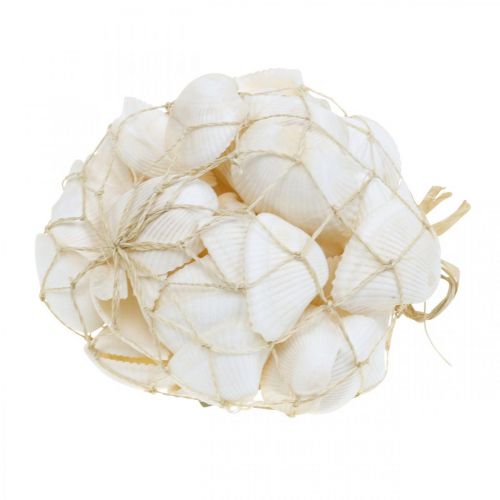 Artikel Deco Skal Vit Äkta skal i raffia nät deco maritime 400g
