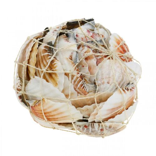Floristik24 Deco skal vit, röd Äkta skal i raffia nät bordsdekoration 400g