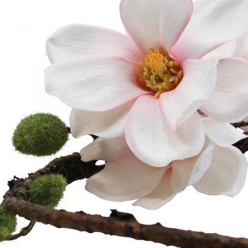 Floristik24 Dekorativ ring konstgjord magnolia vårdekoration för upphängning Ø24cm
