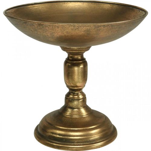 Floristik24 Dekorativ skål på fot Dekortallrik guld antik look Ø28cm H26cm