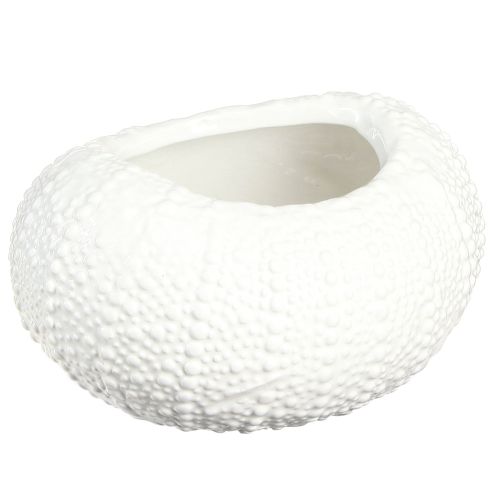 Artikel Dekorativ skål keramik maritim oval i vitt 19x15x8,5cm