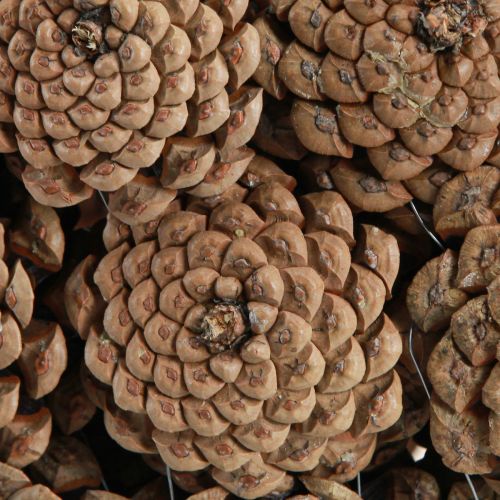 Artikel Dekorativ skål kottar i naturbrun Ø35cm H15cm