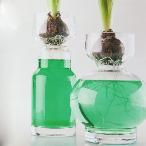 Floristik24 Dekorativ vattengrön 150 ml