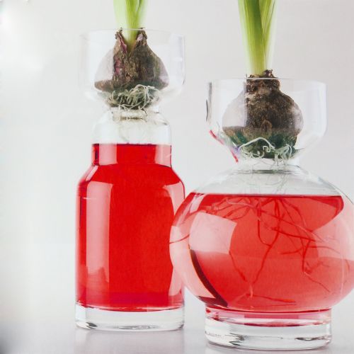 Floristik24 Dekorativt vattenrött 150 ml