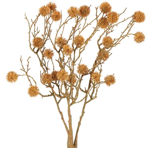 Dekorativ gren sötgummiträd fruktdekoration ockra brun 48cm