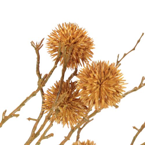 Artikel Dekorativ gren sötgummiträd fruktdekoration ockra brun 48cm
