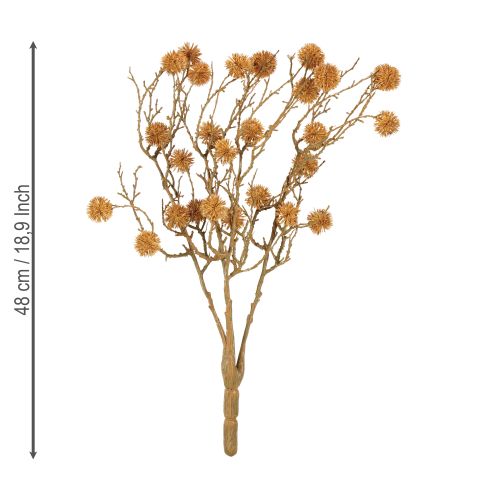 Artikel Dekorativ gren sötgummiträd fruktdekoration ockra brun 48cm