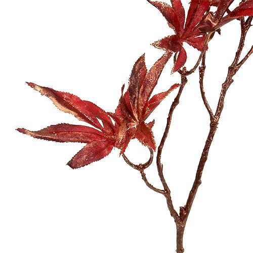 Floristik24 Dekorativ gren mörkröd med glimmer 52 cm