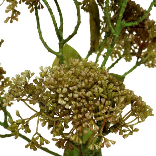 Floristik24 Dekorativ gren stonecrop grön 58cm