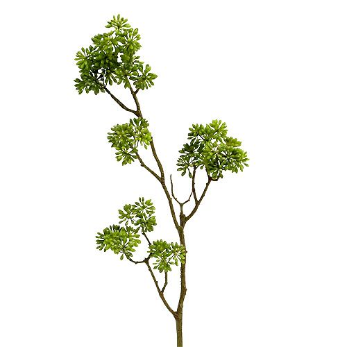 Floristik24 Deco gren grön 80cm
