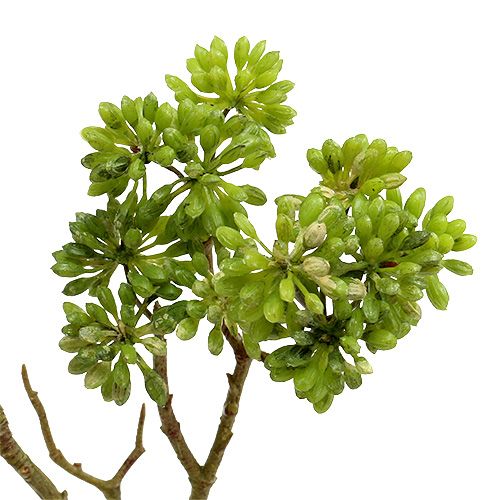 Floristik24 Deco gren grön 80cm
