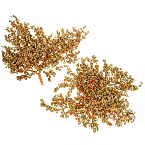 Floristik24 Dekorativa grenar bär torkad hampa palm palm Uva naturlig 1kg