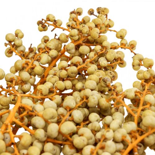 Floristik24 Dekorativa grenar bär torkad hampa palm palm Uva naturlig 1kg