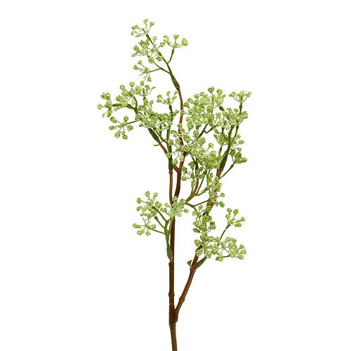 Floristik24 Dekorativ grön grön L43cm 4st