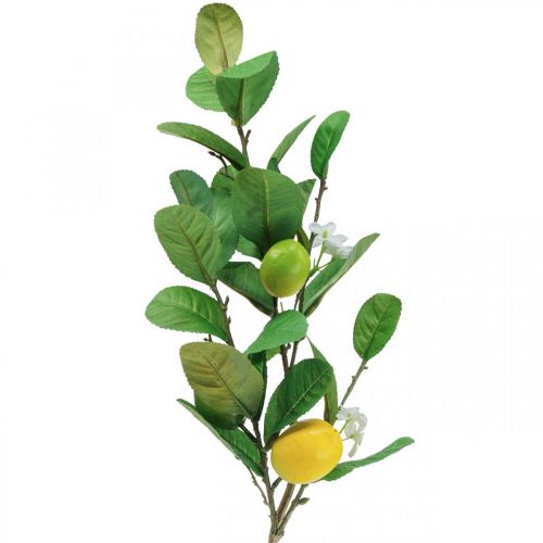Artikel Dekorativ citrongren med blommor och frukter H68cm