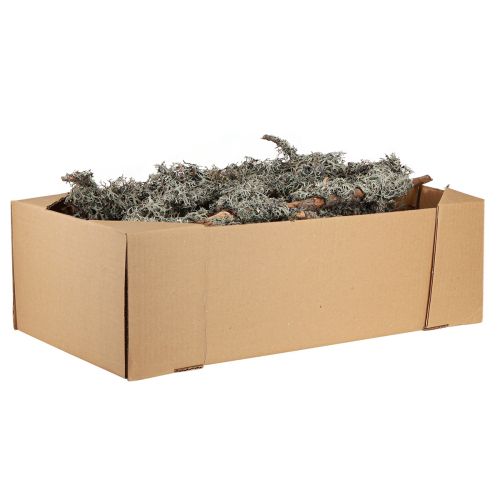 Artikel Dekorationsgrenar grå mossa dekorativa grenar lavgrenar 30-60cm 1kg