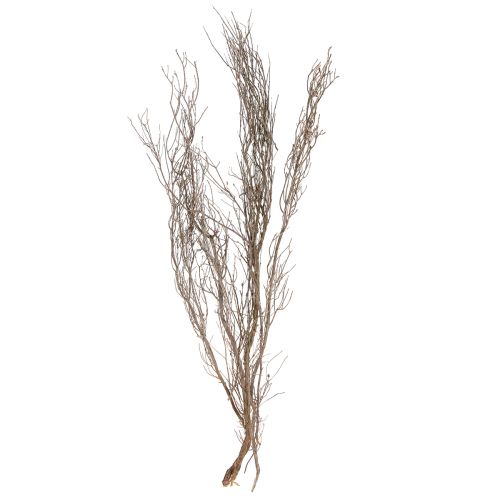 Artikel Dekorativa grenar naturliga dekorativa timjangrenar torkade 500g