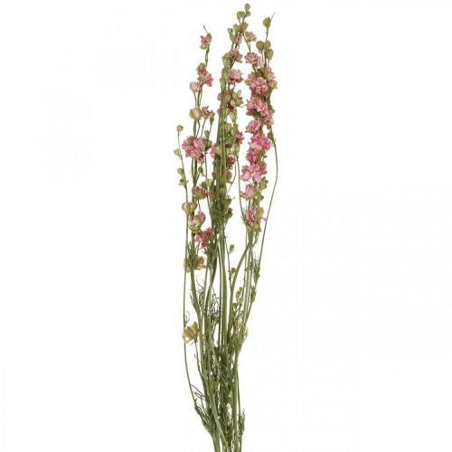 Artikel Torkad blomma delphinium, Delphinium rosa, torr blommor L64cm 25g