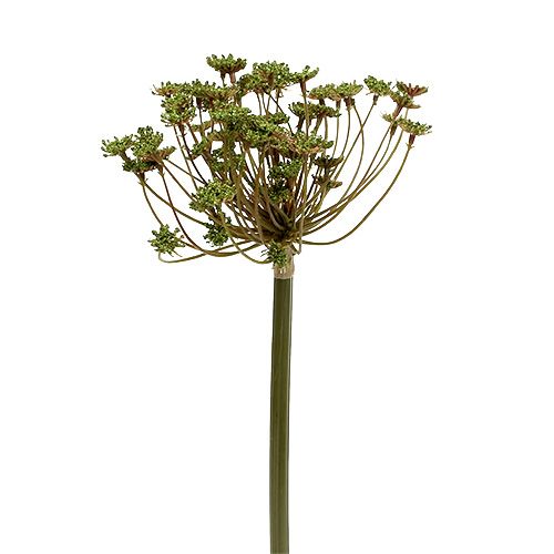 Floristik24 Dill konstgrön 76cm