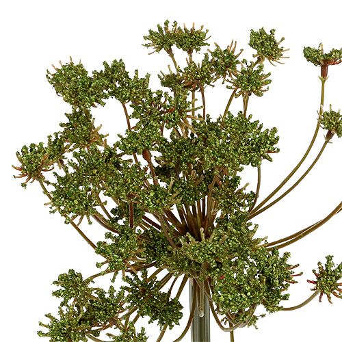 Floristik24 Dill konstgrön 76cm