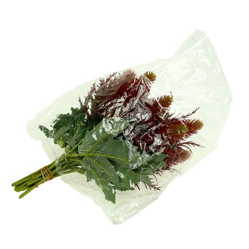 Floristik24 Tistel rödgrön 20cm 12st